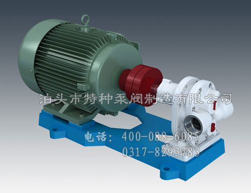 全碳鋼高壓齒輪式渣油（yóu）泵